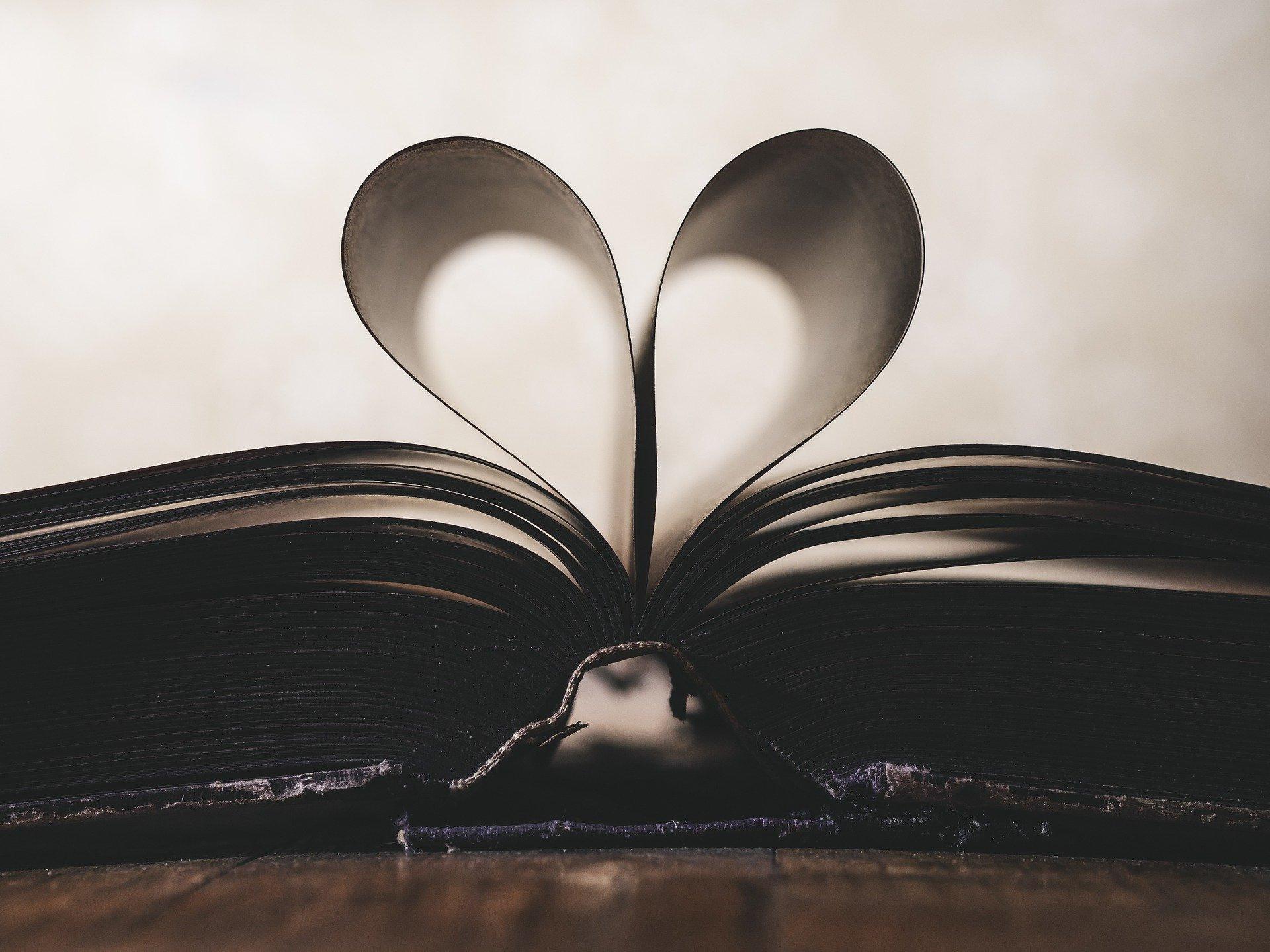 Open book with pages making a heart shape